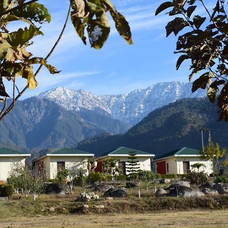 Dhauladhar View Village Resort Dharamshala Exterior foto