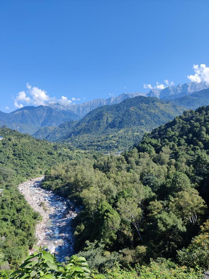 Dhauladhar View Village Resort Dharamshala Exterior foto