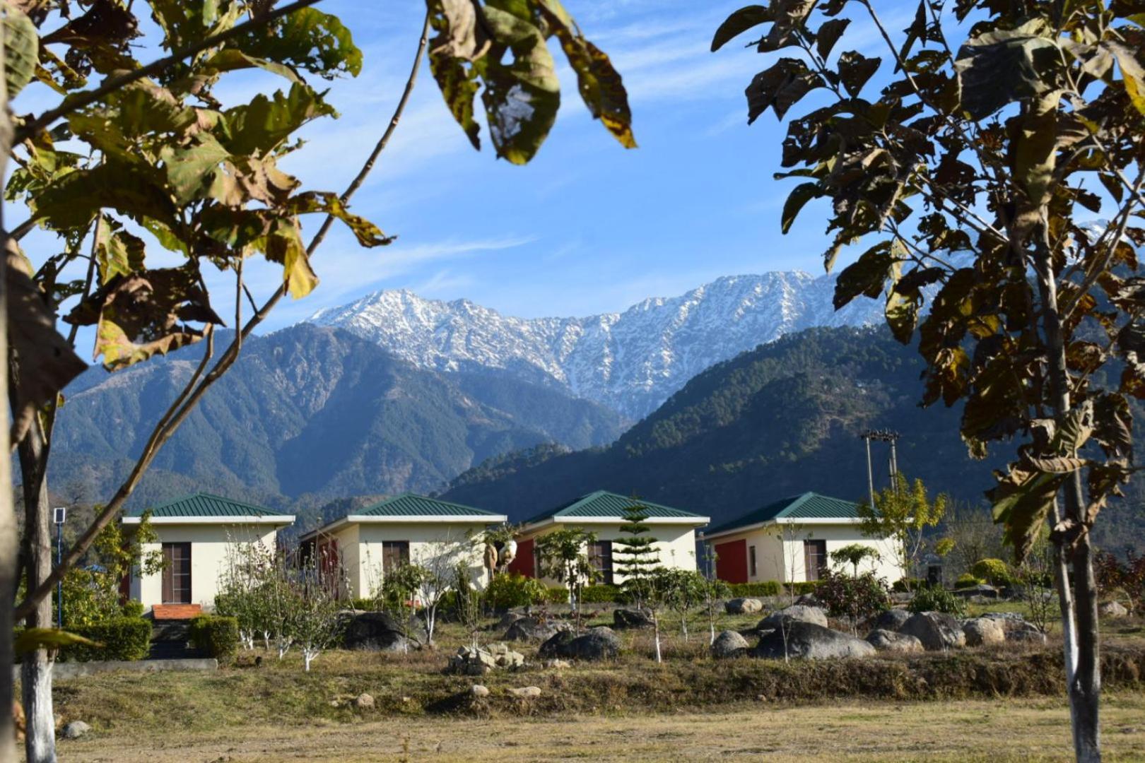 Dhauladhar View Village Resort Dharamshala Exterior foto